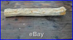 Museum Piece Very Large Petrifed Wood Limb, McDermitt, OR, 24 inches