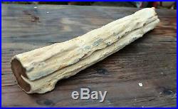 Museum Piece Very Large Petrifed Wood Limb, McDermitt, OR, 24 inches