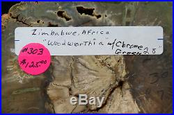 NICE Zimbabwe Woodworthia round! GREENTop Shelf