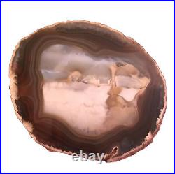Natural Agate Polished Petrified Wood Brown Rock Slab Rare 6.75x5.5