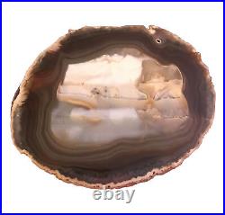 Natural Agate Polished Petrified Wood Brown Rock Slab Rare 6.75x5.5