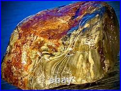 Natural Agatized wood Blue, Silver, Red Rough 2414 Grams
