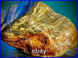 Natural Agatized wood Blue, Silver, Red Rough 2414 Grams