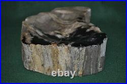 Natural Edge 5lb 12 oz Indonesian Petrified Wood Specimen Polished Recessed Top