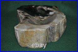 Natural Edge 5lb 12 oz Indonesian Petrified Wood Specimen Polished Recessed Top