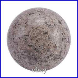 Natural Fossil Petrified Wood Home Table Indoor Decoration Sphere Ct 4350