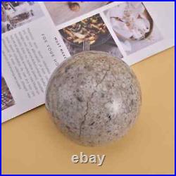 Natural Fossil Petrified Wood Home Table Indoor Decoration Sphere Ct 4350