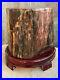 Natural_PETRIFIED_WOOD_FOSSIL_Polished_Display_Sample_27_7_LB_D8_01_gldl