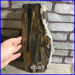 Natural Petrified Wood Crystal Polished Slice Madagascar 1247g h14