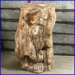 Natural Petrified Wood Crystal Polished Slice Madagascar 3490g