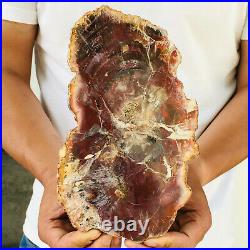 Natural Petrified Wood Fossil Crystal Polished Slice Madagascar 988g