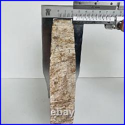 Natural Petrified Wood Fossil Fossilized tree Schistose Specimen Reiki 3.534LB