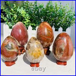 Natural Petrified Wood Sphere Fossil Agate Quartz Crystal Egg Madagascar 1760g