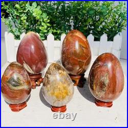Natural Petrified Wood Sphere Fossil Agate Quartz Crystal Egg Madagascar 1760g