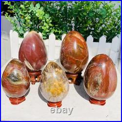 Natural Petrified Wood Sphere Fossil Agate Quartz Crystal Egg Madagascar 1760g