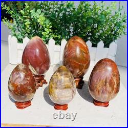 Natural Petrified Wood Sphere Fossil Agate Quartz Crystal Egg Madagascar 1760g