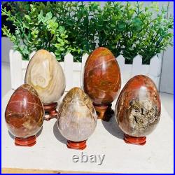 Natural Petrified Wood Sphere Fossil Agate Quartz Crystal Egg Madagascar 1760g