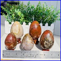 Natural Petrified Wood Sphere Fossil Agate Quartz Crystal Egg Madagascar 1760g