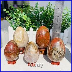 Natural Petrified Wood Sphere Fossil Agate Quartz Crystal Egg Madagascar 1760g