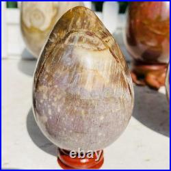Natural Petrified Wood Sphere Fossil Agate Quartz Crystal Egg Madagascar 1760g