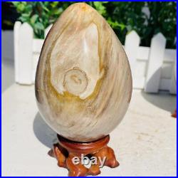 Natural Petrified Wood Sphere Fossil Agate Quartz Crystal Egg Madagascar 1760g