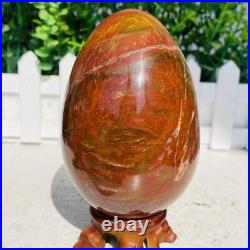 Natural Petrified Wood Sphere Fossil Agate Quartz Crystal Egg Madagascar 1760g