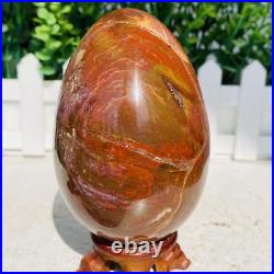 Natural Petrified Wood Sphere Fossil Agate Quartz Crystal Egg Madagascar 1760g