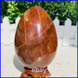 Natural Petrified Wood Sphere Fossil Agate Quartz Crystal Egg Madagascar 1760g