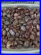 Natural_Polished_Petrified_Wood_Fossil_Healing_wholesale_500g_X1_01_iq
