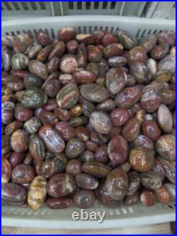 Natural Polished Petrified Wood Fossil Healing wholesale (500g) X1 Natural Polished Petrified Wood Fossil Healing wholesale (500g) X1