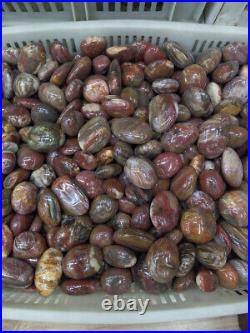 Natural Polished Petrified Wood Fossil Healing wholesale (500g) X1 Natural Polished Petrified Wood Fossil Healing wholesale (500g) X1