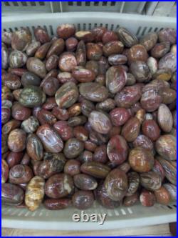 Natural Polished Petrified Wood Fossil Healing wholesale (500g) X1 Natural Polished Petrified Wood Fossil Healing wholesale (500g) X1