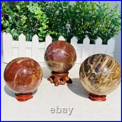 Natural Polished Petrified Wood Fossil Quartz Crystal Sphere Ball Healing 1100g
