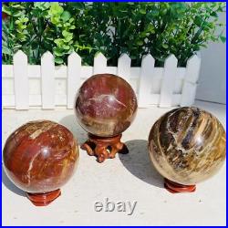Natural Polished Petrified Wood Fossil Quartz Crystal Sphere Ball Healing 1100g
