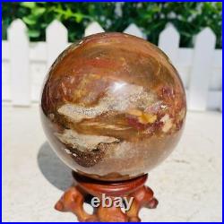Natural Polished Petrified Wood Fossil Quartz Crystal Sphere Ball Healing 1100g