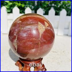 Natural Polished Petrified Wood Fossil Quartz Crystal Sphere Ball Healing 1100g