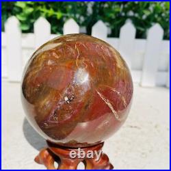 Natural Polished Petrified Wood Fossil Quartz Crystal Sphere Ball Healing 1100g
