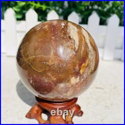 Natural Polished Petrified Wood Fossil Quartz Crystal Sphere Ball Healing 1100g