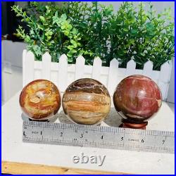Natural Polished Petrified Wood Fossil Quartz Crystal Sphere Ball Healing 1100g