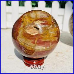 Natural Polished Petrified Wood Fossil Quartz Crystal Sphere Ball Healing 1100g