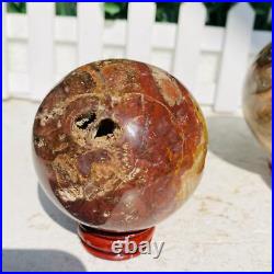 Natural Polished Petrified Wood Fossil Quartz Crystal Sphere Ball Healing 1100g