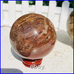 Natural Polished Petrified Wood Fossil Quartz Crystal Sphere Ball Healing 1100g