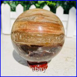 Natural Polished Petrified Wood Fossil Quartz Crystal Sphere Ball Healing 1100g