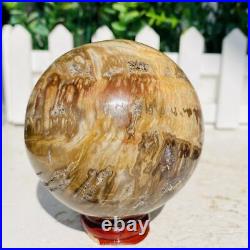 Natural Polished Petrified Wood Fossil Quartz Crystal Sphere Ball Healing 1100g