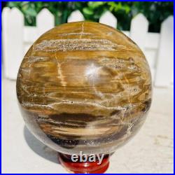 Natural Polished Petrified Wood Fossil Quartz Crystal Sphere Ball Healing 1100g