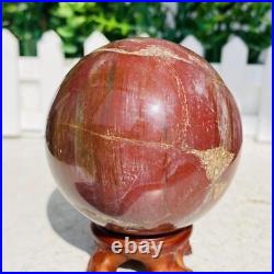 Natural Polished Petrified Wood Fossil Quartz Crystal Sphere Ball Healing 1100g