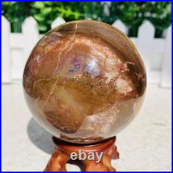 Natural Polished Petrified Wood Fossil Quartz Crystal Sphere Ball Healing 1100g