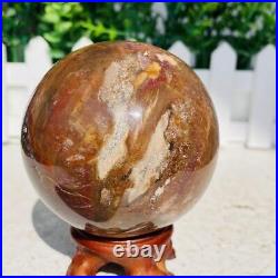 Natural Polished Petrified Wood Fossil Quartz Crystal Sphere Ball Healing 1100g