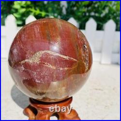 Natural Polished Petrified Wood Fossil Quartz Crystal Sphere Ball Healing 1100g