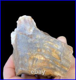 New Find! Incredible Druzy Crystal Covered Petrified Wood Opalized Agate 558g